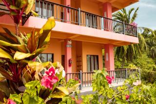 Taco Shack Diving Hostel Restaurant - Ko Tao - 8