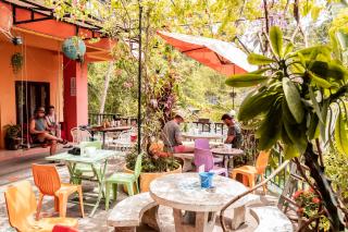 Taco Shack Diving Hostel Restaurant - 4