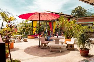 Taco Shack Diving Hostel Restaurant - 3