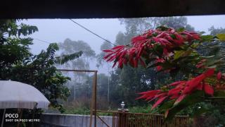 Dream Veedu Home Stay Banasura - 3