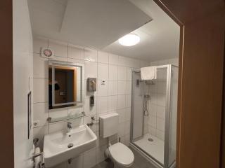 Hotel Sonne - Sinsheim - 9