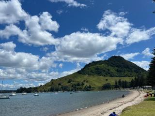 Sunny Matua, Private Suite, Quiet Stay, 5star Bed - Tauranga - 4