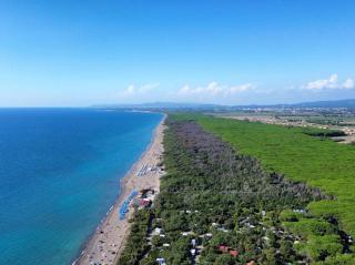 Felci 18, apartment 6 beds in Marina di Bibbona just 300 mt from the sea - 9