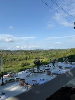 Sisters zhgenti plantacia - 6