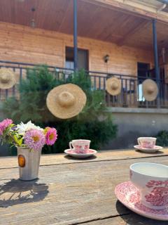 Sisters zhgenti plantacia - 7