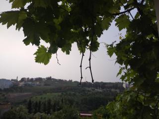 Taza Organic Garden with view park and restaurant - 9