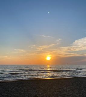 Felci 19, apartment 6 beds in Marina di Bibbona just 300 mt from the sea - 4