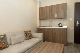 Crystal Resort - Bakuriani - 6