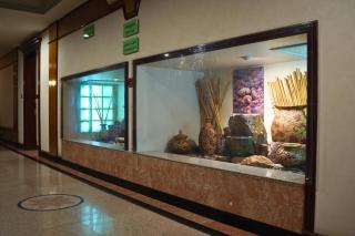 وردة الرمال للشقق الفندقية - 3