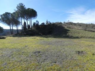 Le Gîte Sambacacia - 2