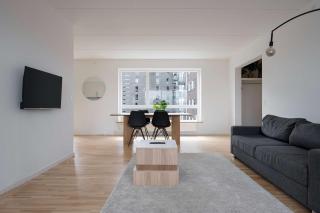 Sky High Amager Views - 9