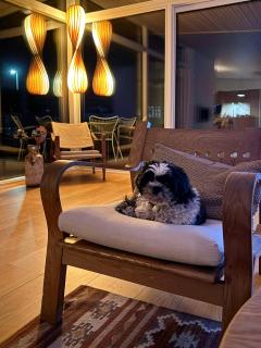 New Wooden House Near Hornbæk Beach - 4