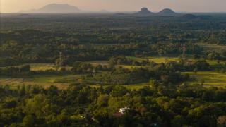 Peacock Hill Sigiriya - 3