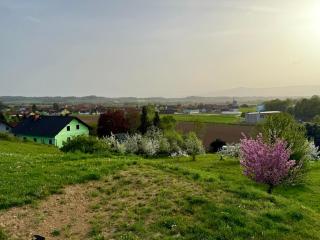 Mc Home Neues und sonniges Doppelhaus, Top 2 mit grossen Garten und E-Ladestation in Dobl bei Graz - 8