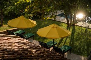 Peacock Hill Sigiriya - 3