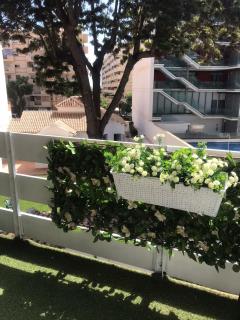 Light and tranquility in the heart of Fuengirola - 4