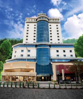 Ascot Hotel Calicut - 0