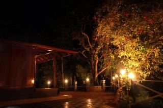 Mangadans heritage homestay - 9