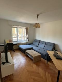 Renovated Apartment - Lausanne - 0