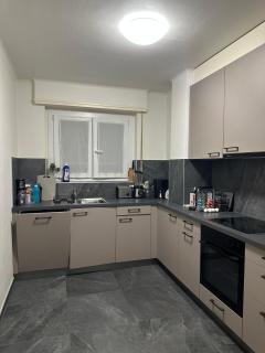 Renovated Apartment - Lausanne - 1