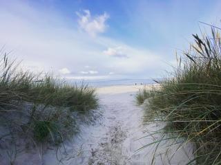 Charming Hornbaek Home Spacious Garden Retreat - 8