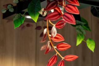 Atrakcyjne Apartamenty z Parkingiem & Balkonem by Noclegi Renters - 2