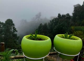 Aranya Anandam Homestay - 1