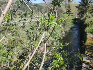 Jolie maison de village - 8