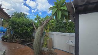Araya's House - 5