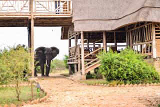 Tabingi Safari Lodge - Katunguru - 6