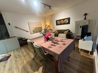 Exclusive basement apartment with terrace - 9