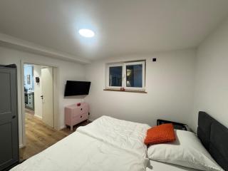 Exclusive basement apartment with terrace - 5