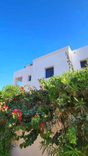 Charming Villa in Midoun, Tunisia with Private Entrance and Stunning Garden View - 7