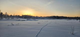 An old Lapland farm in Pokka, Kittilä - 4