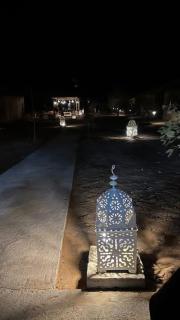 Desert luxury - 3