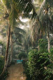 Homestay and Tour Ben Tre - Ben Tre - 9