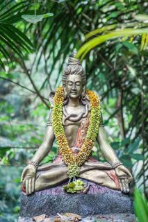 Secluded jungle villa w private pool & serene view - 8