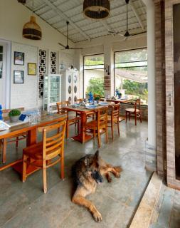 SaffronStays Junglebrooke by Animals Matter to Me - 7