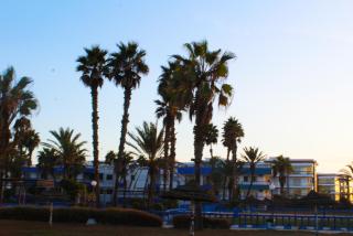 Palm beach in Mansouria - 2