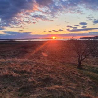 Sunrise by the Sea - 8