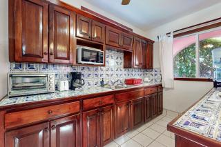 Plumeria @ Caribe Island - 1