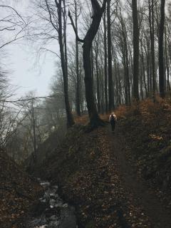 Hotel Villa Schwanebeck - 7