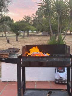 Casa Bungavilia - Roots of Alentejo - 4