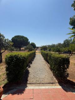Casa Bungavilia - Roots of Alentejo - 3