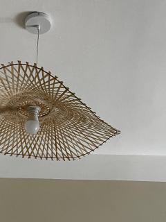 Tropical Cocoon in Monza - 8