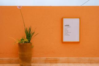 Flooka Surf & Yoga - 6