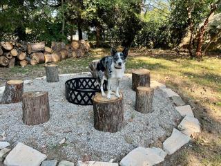 4 Bed Ranch-Fire Pit-Pet & Kid Friendly-King Bed - 3