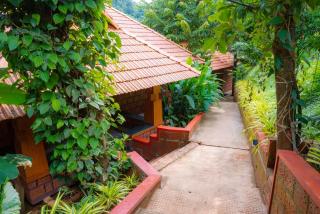 Mokha Grove Retreat - 6