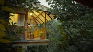 Mokha Grove Retreat - 4