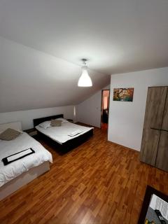 Casa NIB Calimanesti - Călimăneşti - 2